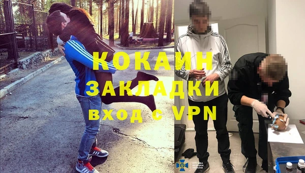 прущие грибы Лагань